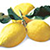 Granita Lemon 700 g.